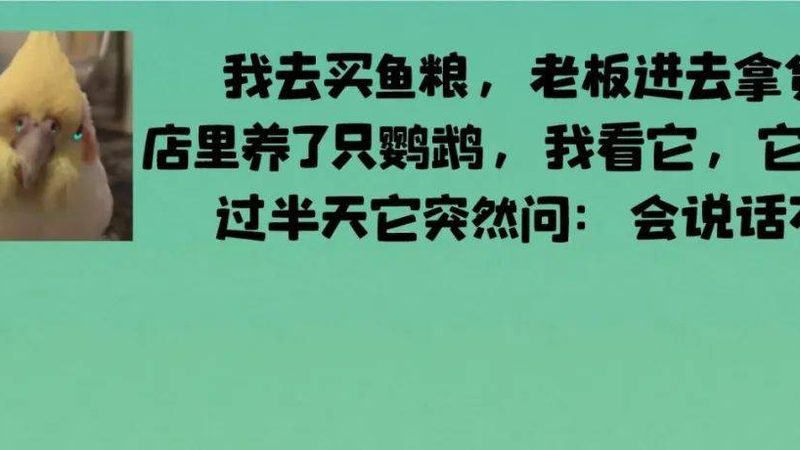 高效的物流配送是保证产品质量的关键。可以从以下几个方面进行考察：