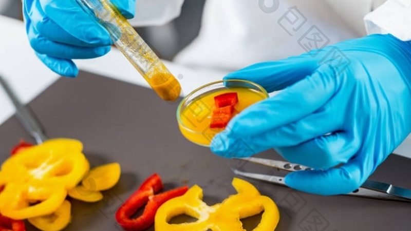 餐饮加盟店员工管理成本控制的关键因素